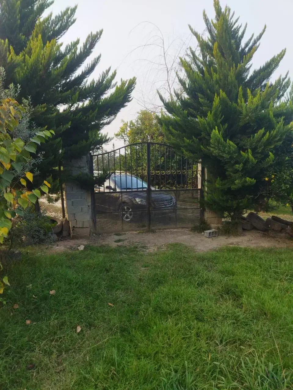 فروش زمین مازندران (ارطه وشیخ رجه)|فروش زمین و ملک کلنگی|ارطه, |دیوار