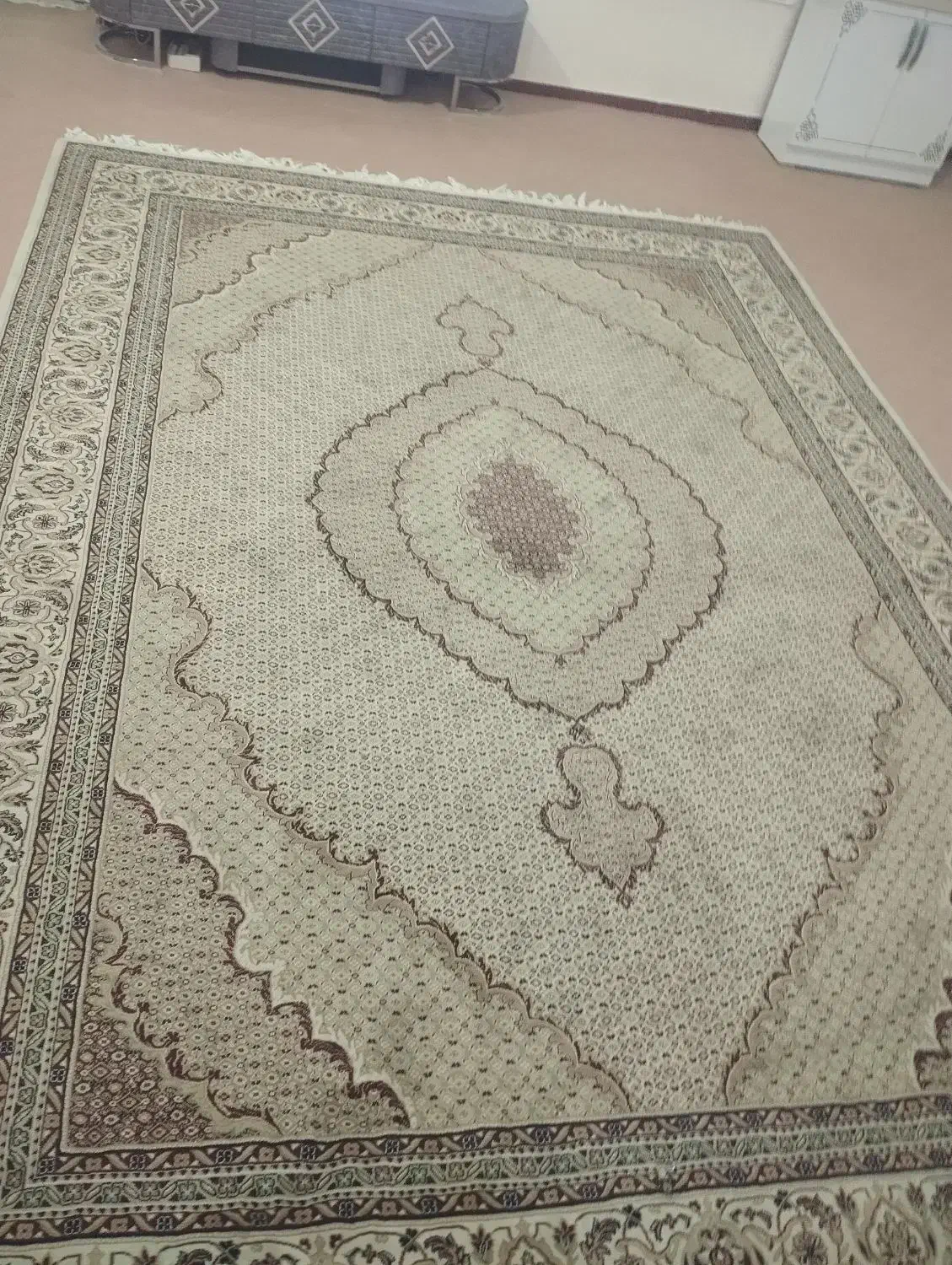 فرش نه متری ریز ماهی|فرش|پارسآباد, |دیوار