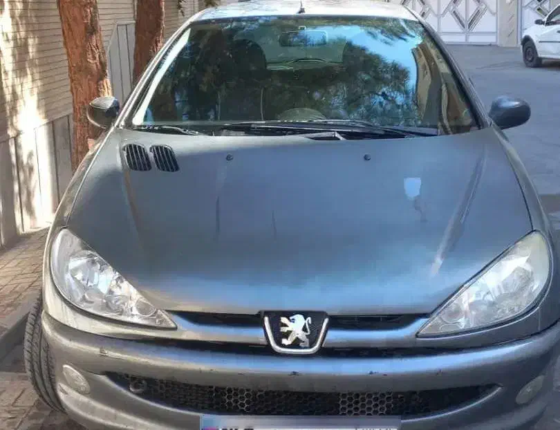 ۲۰۶|خودرو سواری و وانت|اصفهان, شهریار|دیوار