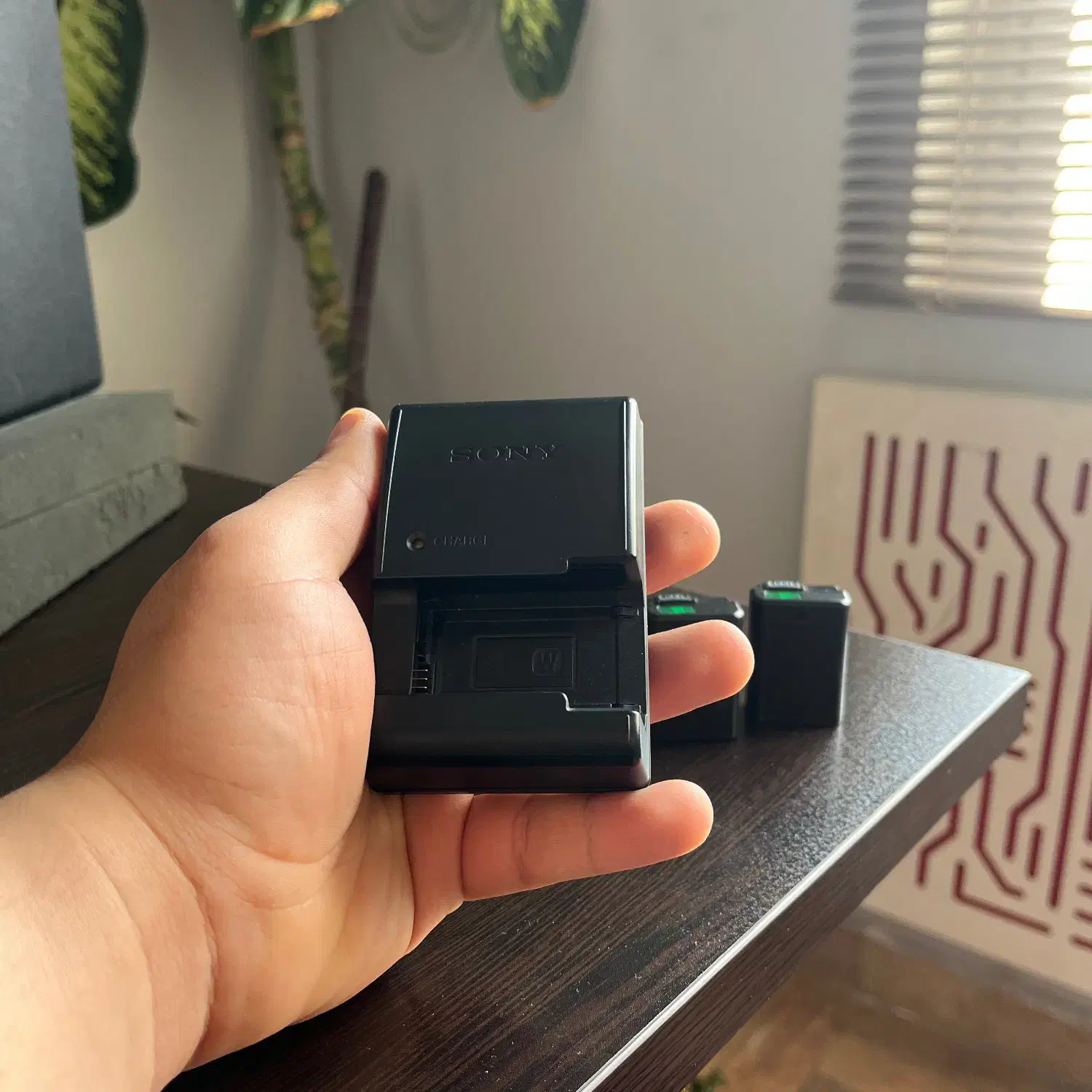 شارژر اورجینال سونی آلفا|دوربین عکاسی و فیلمبرداری|سنندج, |دیوار