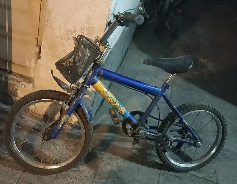 دوچرخه سایز ۱۶|دوچرخه، اسکیت، اسکوتر|تهران, تهرانسر شمالی|دیوار