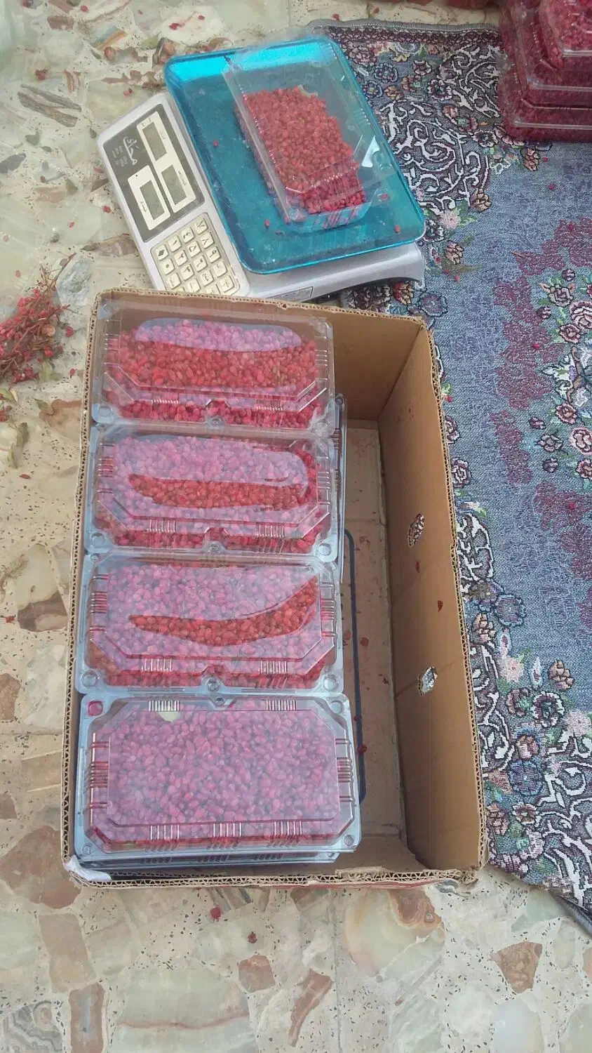 زرشک تازه (سوغات خراسان جنوبی )|خوردنی و آشامیدنی|ایرانشهر, |دیوار