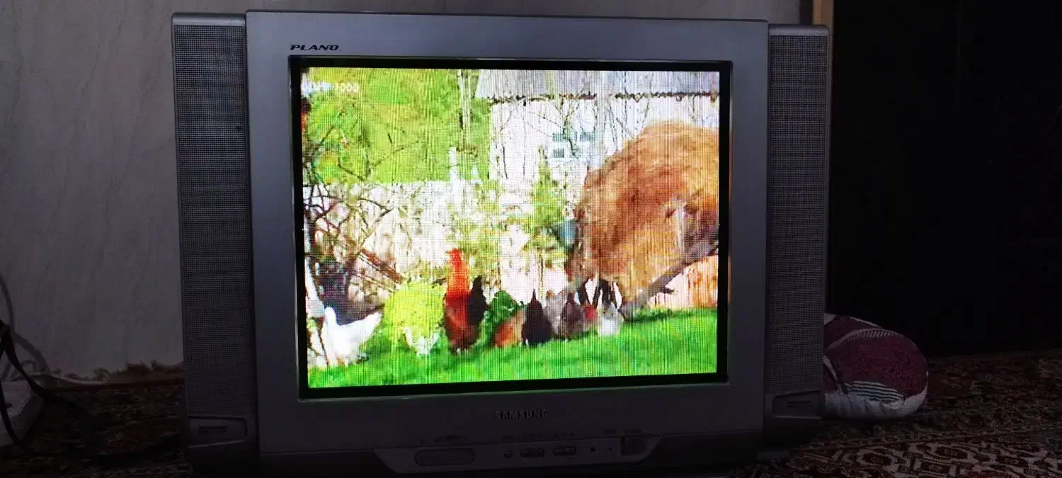 تلویزیون|تلویزیون و پروژکتور|برازجان, |دیوار