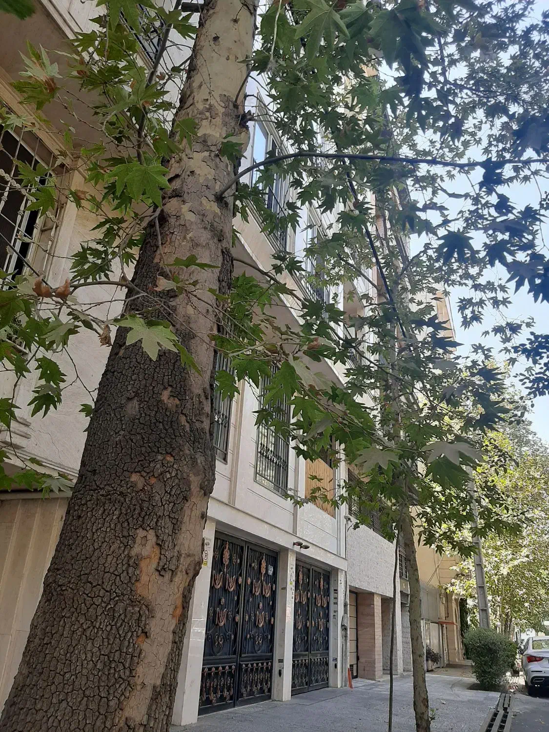 مشارکت درساخت با مهندس پایه یک بدون واسطه|مشارکت در ساخت املاک|تهران, پاسداران|دیوار