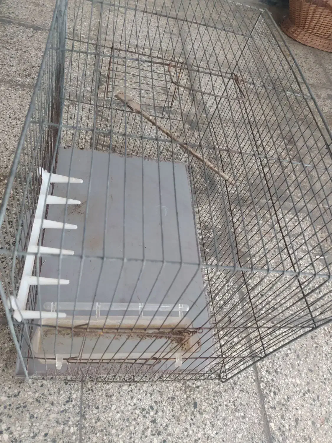 قفس فروشی فوری|لوازم جانبی حیوانات|گنبد کاووس, |دیوار