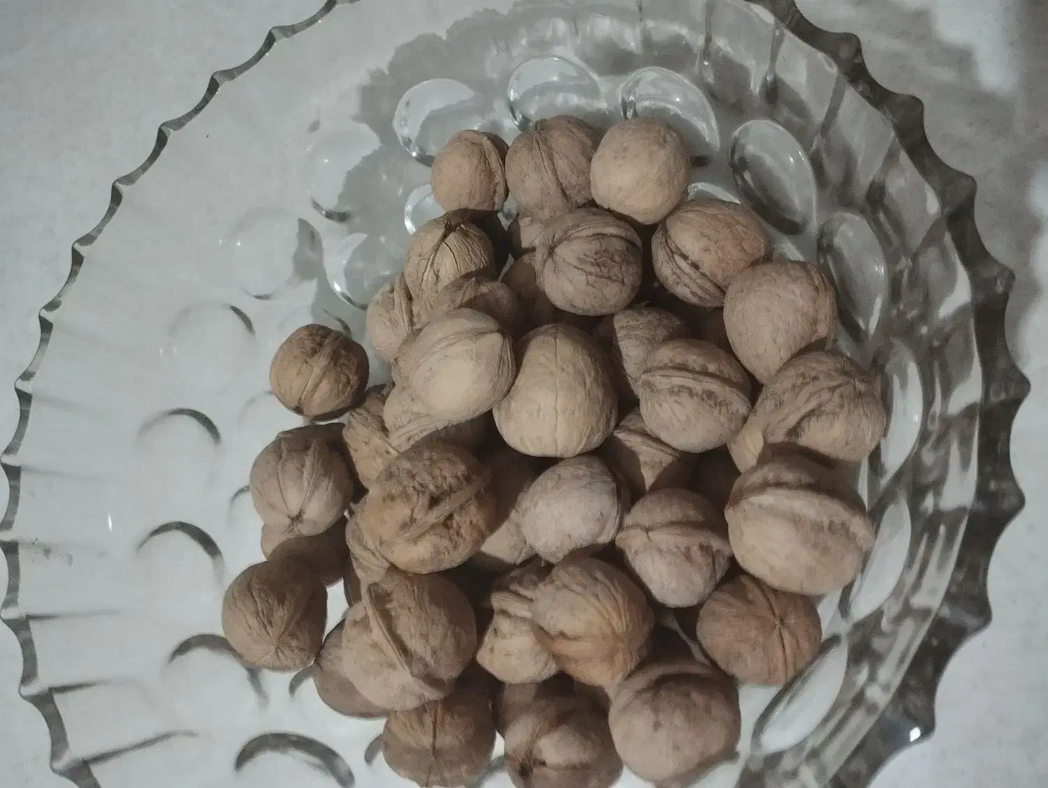 گردو با کیفیت پوست کاغذی تویسرکان|خوردنی و آشامیدنی|رباطکریم, رباطکریم|دیوار