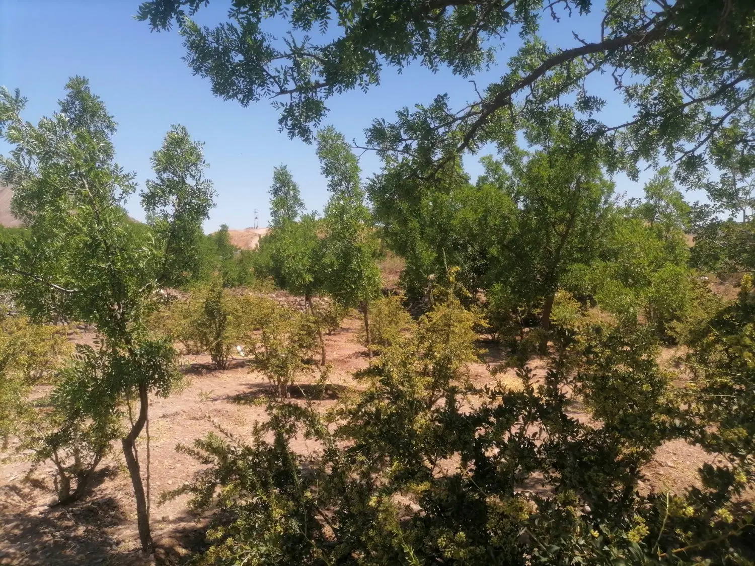 تصویر 7