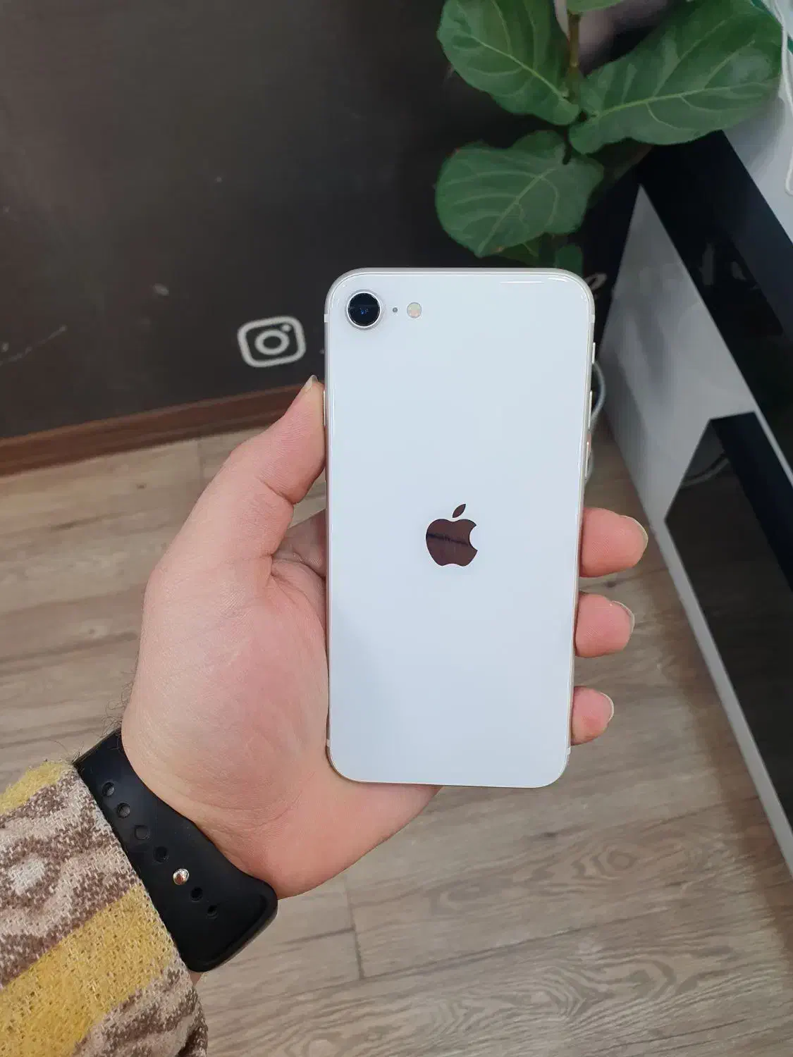 se2020 لاکاغذی(شیخ استور)|موبایل|اصفهان, باغ زرشک|دیوار