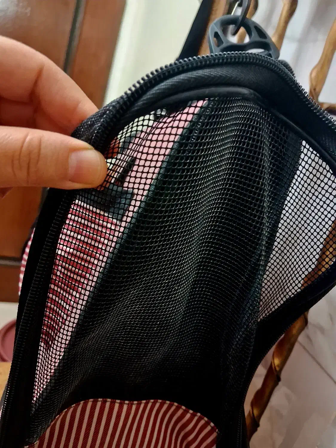 کیف حمل سگ و گربه در حد نو|لوازم جانبی حیوانات|کرج, شهرک فهمیده|دیوار