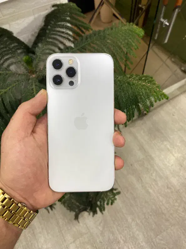 12promax|موبایل|تالش, هشتپر|دیوار