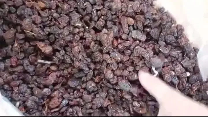 کشمش پاک شده|خوردنی و آشامیدنی|ملکان, |دیوار