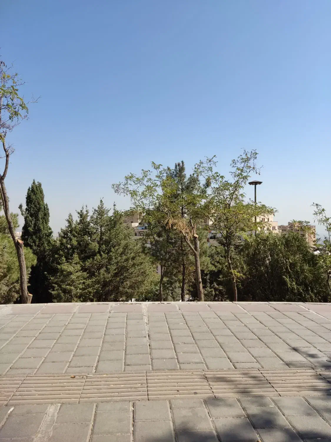کارگر فست فود گریل کار و مسلط به تخته|استخدام خدمات فروشگاه و رستوران|شیراز, تاچارا|دیوار