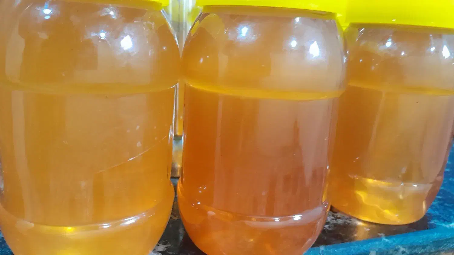 عسل کنار و عسل گون اصل|عمدهفروشی|عسلویه, |دیوار