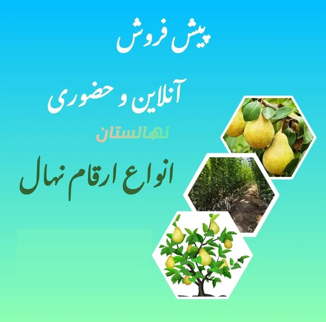پیش فروش انواع ارقام نهال|خدمات باغبانی و درختکاری|ارومیه, |دیوار