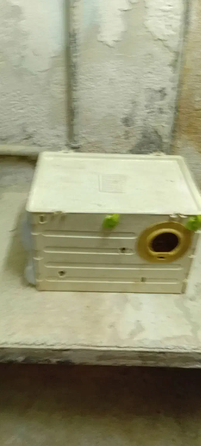 قفس وآغول|لوازم جانبی حیوانات|قوچان, |دیوار