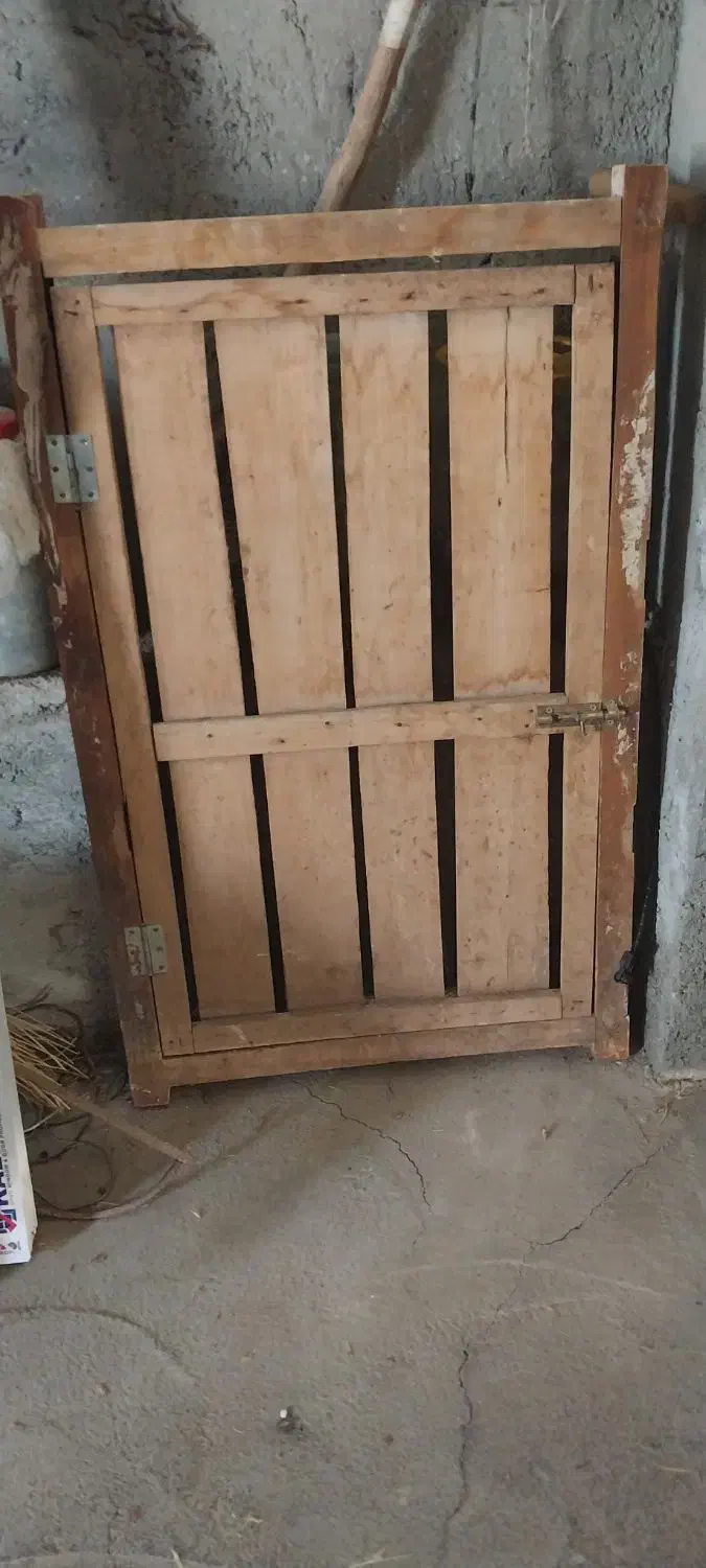 در واسه مرغ خروس|لوازم جانبی حیوانات|شوط, |دیوار