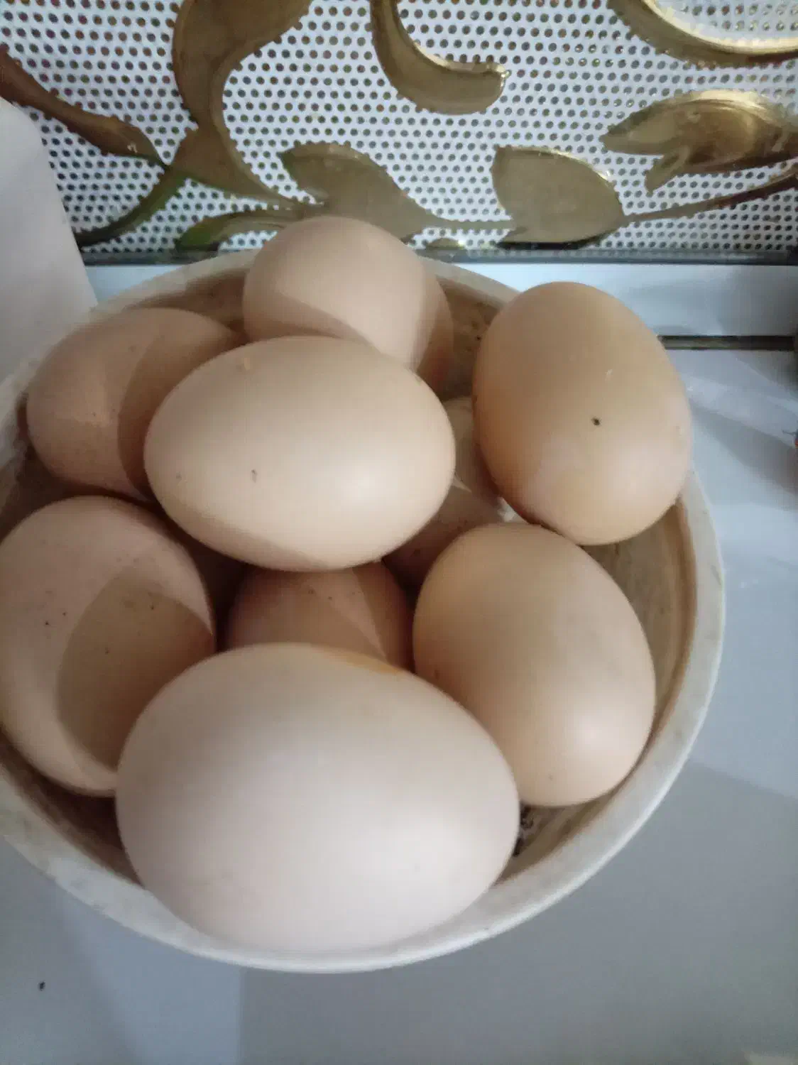 تخم مرغ ارگانیک خانگی|خوردنی و آشامیدنی|نیشابور, کوی یغما|دیوار