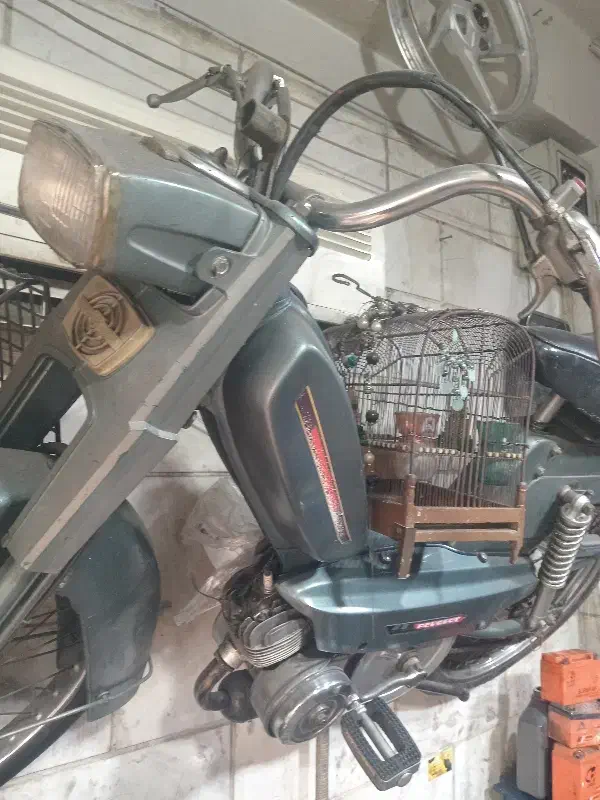 موتور گازی پژو|موتورسیکلت|تهران, شارق|دیوار