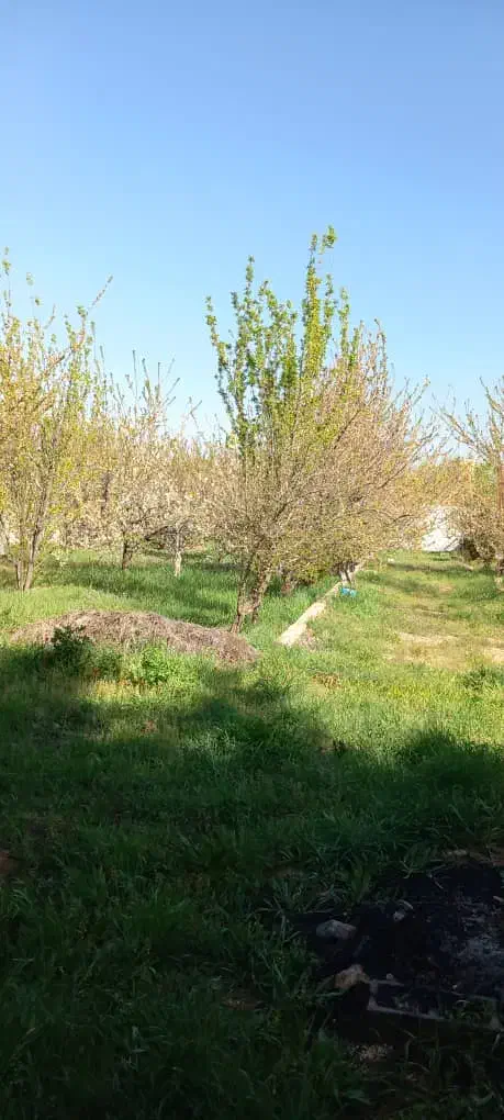 باغ 100متری در دالین|اجارهٔ خانه و ویلا|همایجان, |دیوار