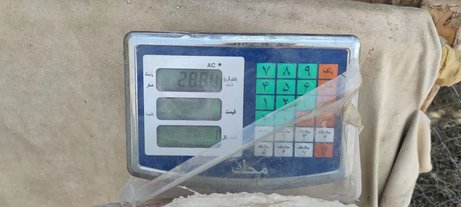 کود حیوانی|خدمات باغبانی و درختکاری|لار, |دیوار