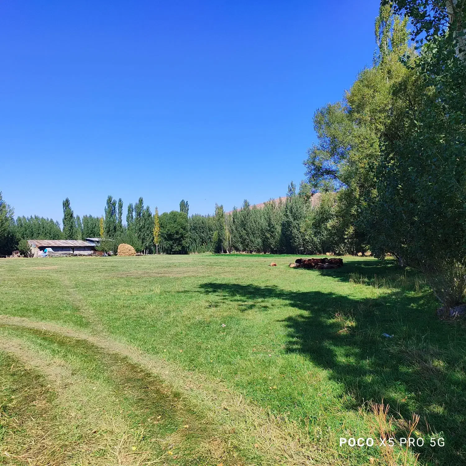 فروش چهار قطعه زمین5300متری در خلخال پشت داد کستری|فروش زمین و ملک کلنگی|خلخال, |دیوار