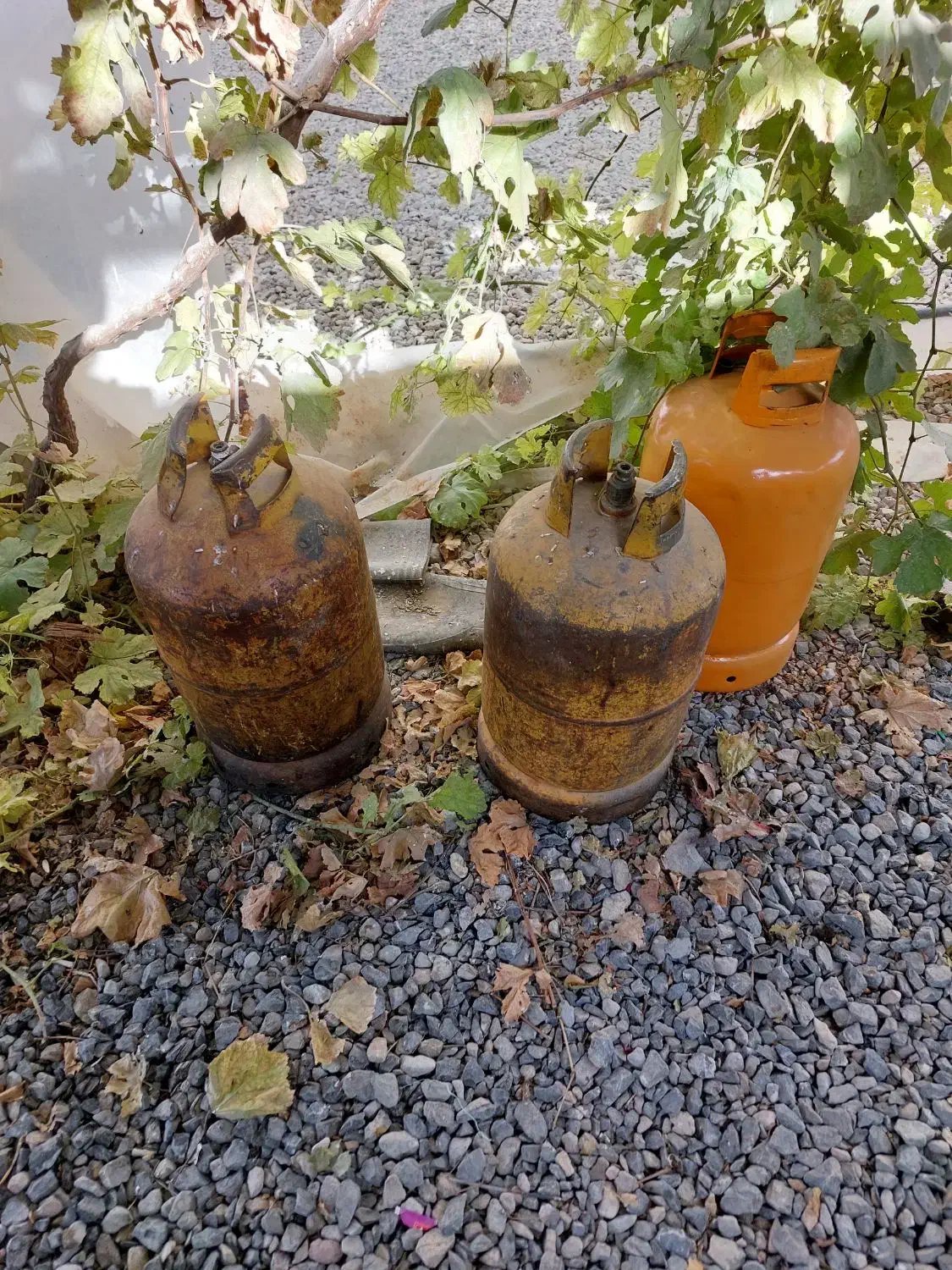 کپسول گاز|اجاق گاز و لوازم برقی پخت‌وپز|اصفهان, مارچین|دیوار