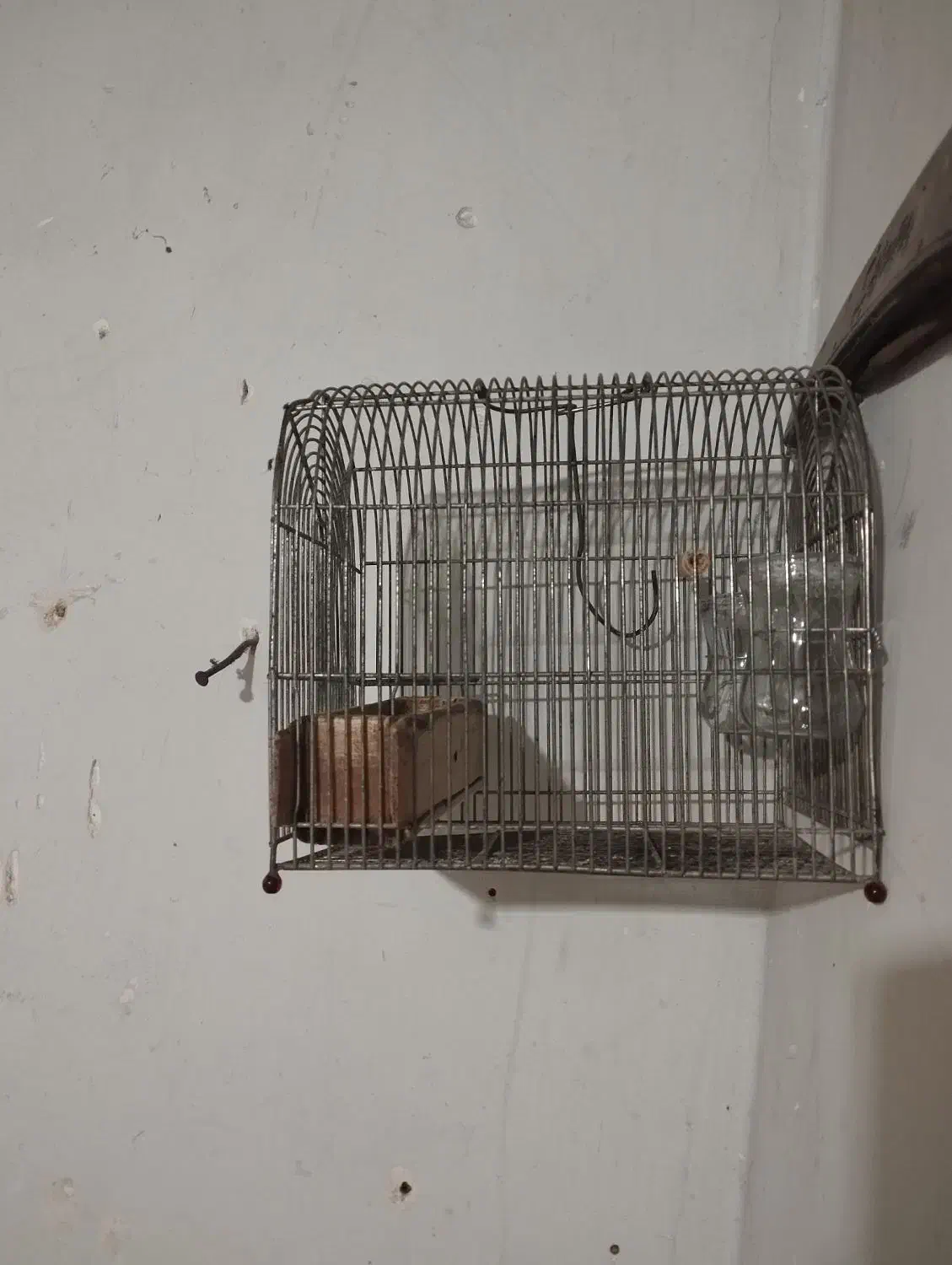 2عدد قفس سهره قیمت دونه 750000هزار تومن یک کلام|لوازم جانبی حیوانات|شیراز, شهرک قمشه|دیوار