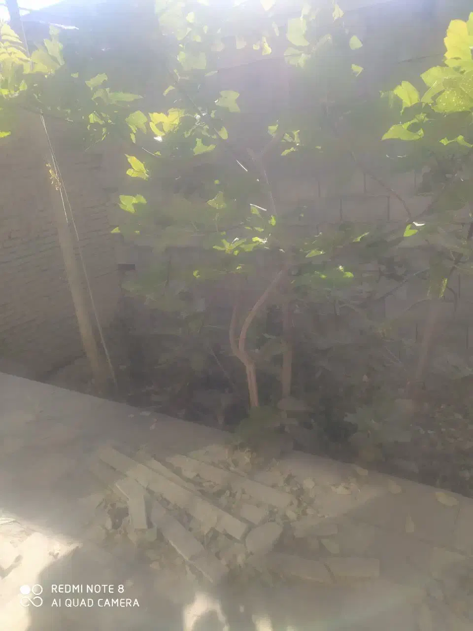 خانه کلنگی|فروش زمین و ملک کلنگی|اصفهان, گورتان|دیوار