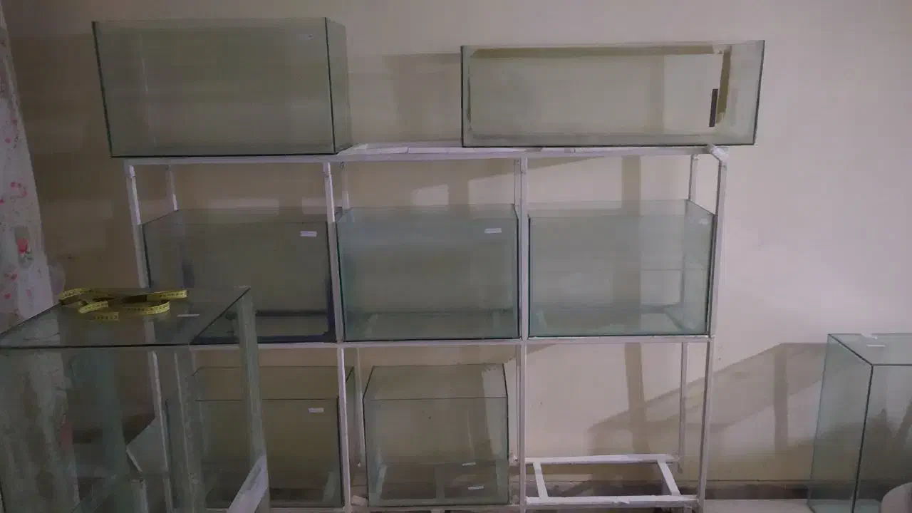 فروش انواع سایز آکواریوم بعلت جمع آوری سالن|ماهی|همدان, |دیوار