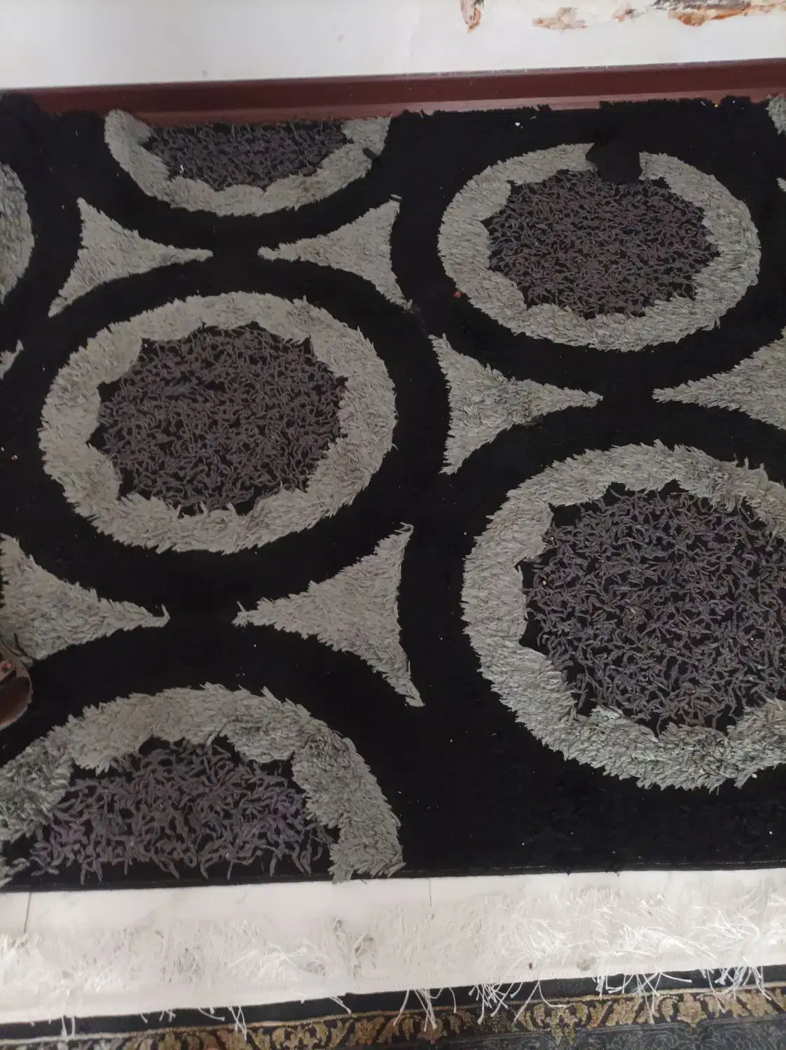 گلیم|گلیم، جاجیم، گبه|زاهدان, |دیوار