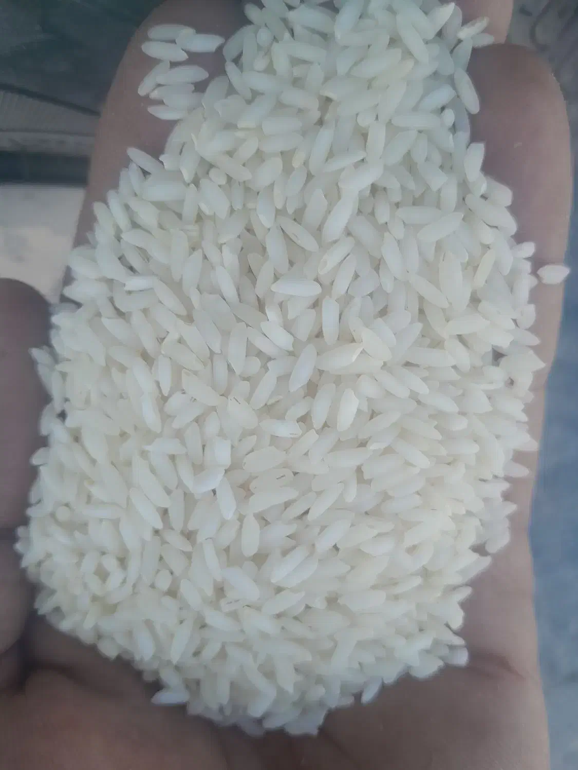 برنج تیلکی عنبربوشوشتر|خوردنی و آشامیدنی|مسجد سلیمان, |دیوار