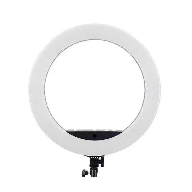 رینگ لایت|دوربین عکاسی و فیلمبرداری|گنبد کاووس, |دیوار