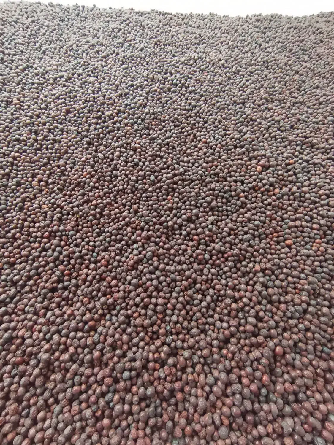 عناب|عمدهفروشی|خوسف, |دیوار