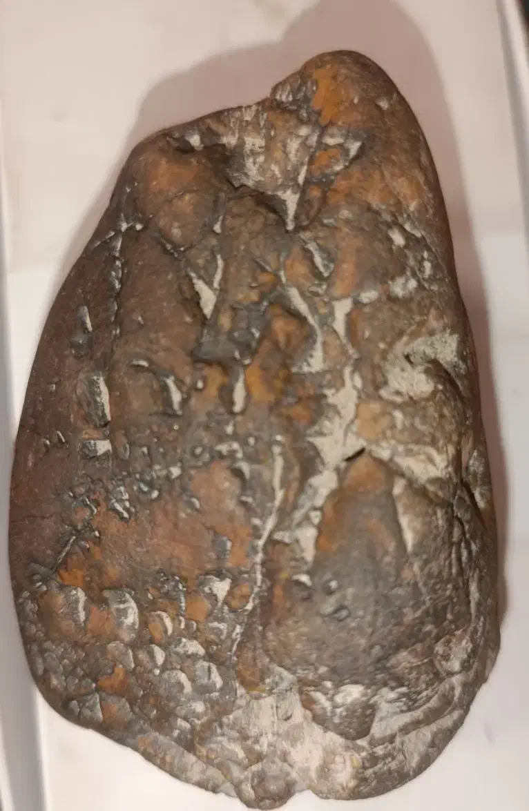 شهاب سنگ|جواهرات|جیرفت, |دیوار