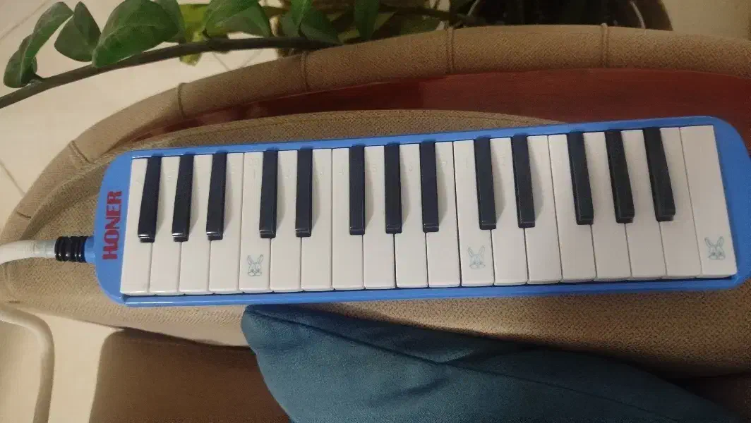 ملودیکا|گیتار، بیس، امپلیفایر|بیرجند, |دیوار