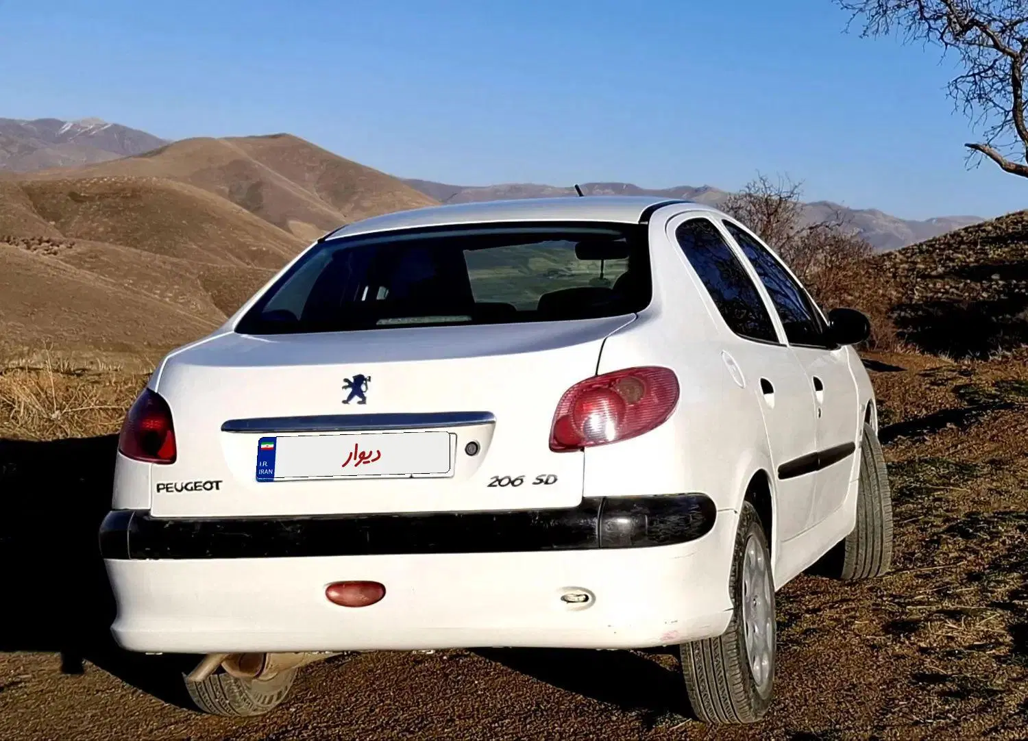 206 sd v20|خودرو سواری و وانت|سنندج, |دیوار