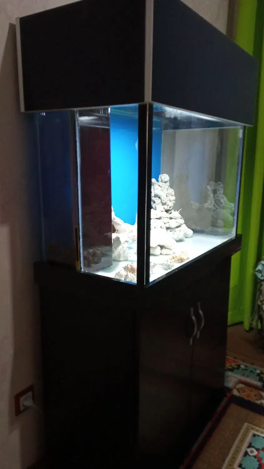 آکواریوم سامپ دار آبشور|ماهی|رباط‌کریم, شهرک والفجر|دیوار