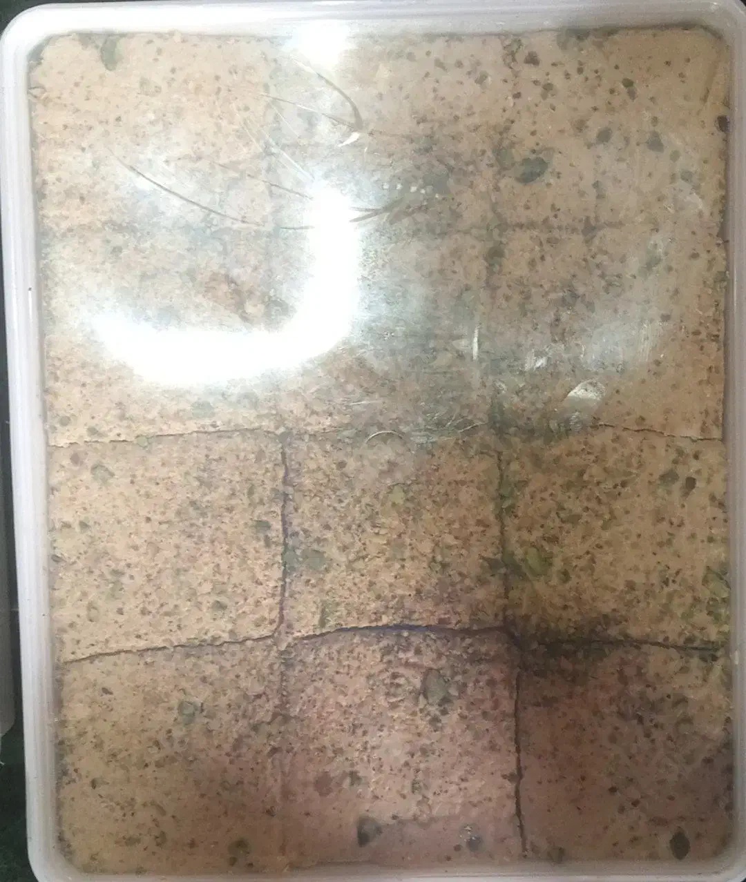 خرمای کبکاب وخاسویی و انواع حلوای شکری و ارده|خوردنی و آشامیدنی|پل سفید, |دیوار