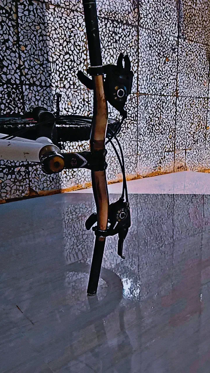 دوچرخه ویوا|دوچرخه، اسکیت، اسکوتر|پلدختر, |دیوار