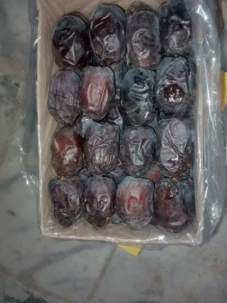 فروش فوری خرما سه ردیف کیلویی 170نقد|خوردنی و آشامیدنی|مهرستان, |دیوار