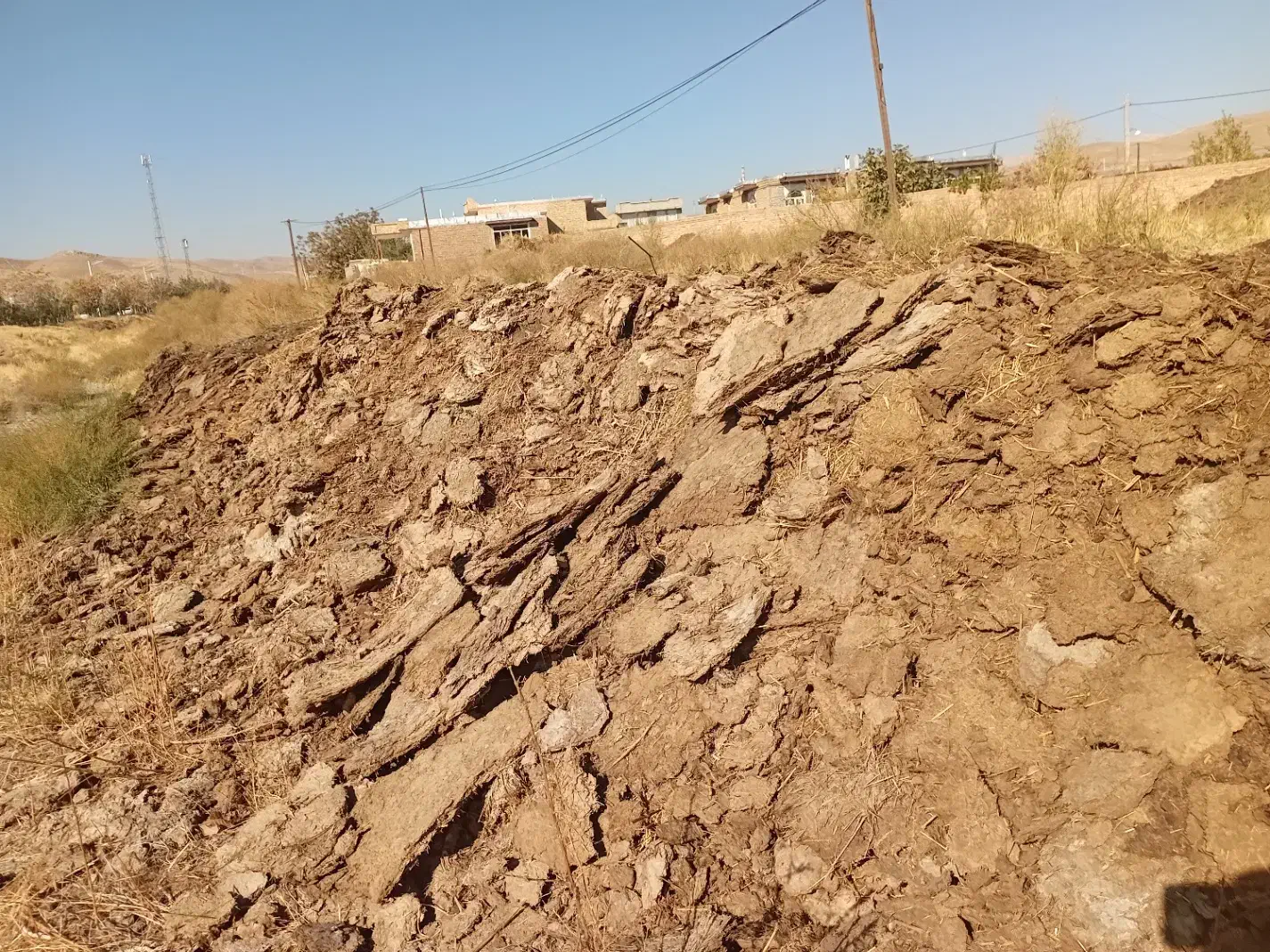 کود حیوانی گوسفند پهن سوخته|خدمات باغبانی و درختکاری|نوشین شهر, |دیوار