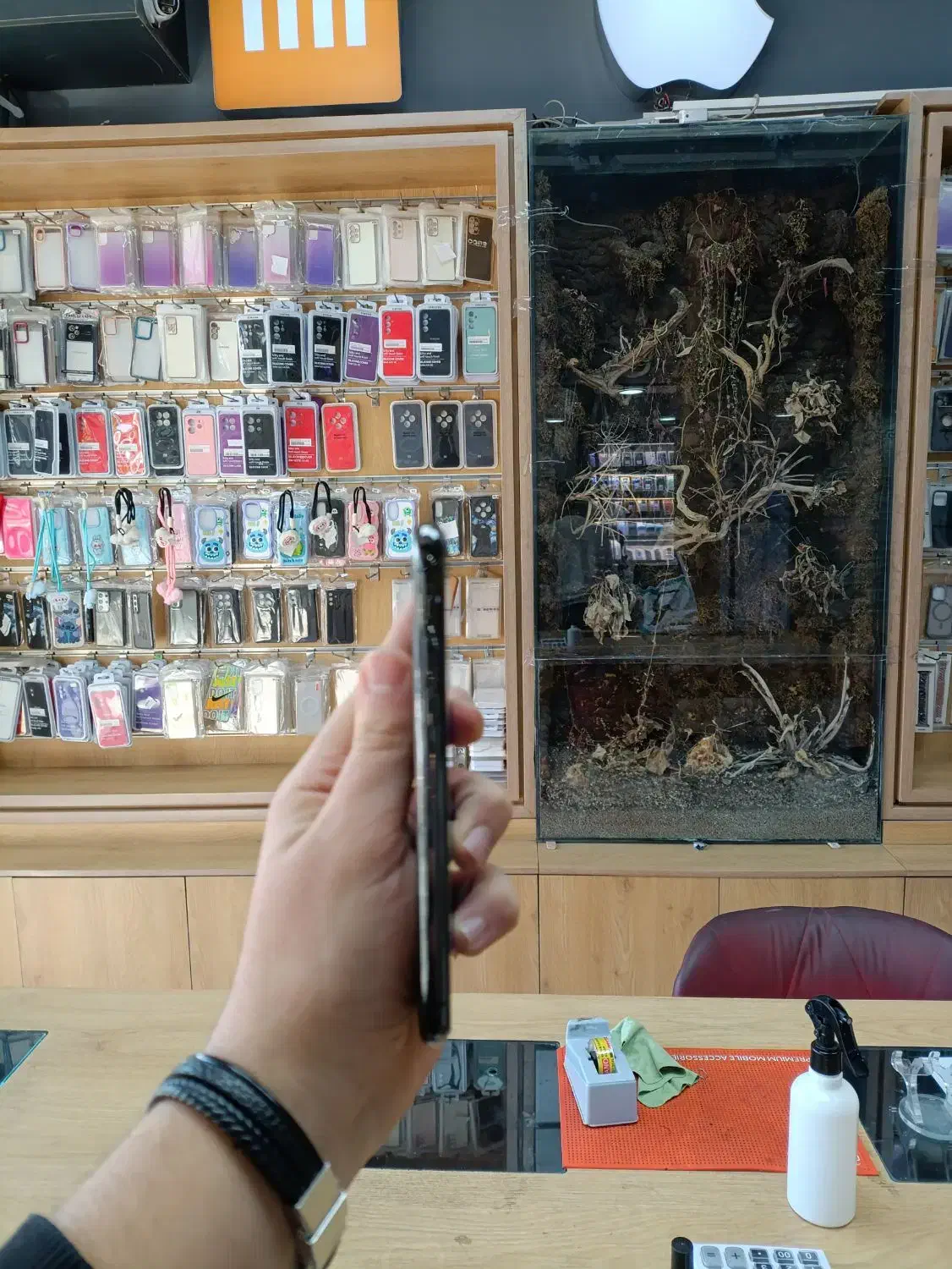 iPhone 11pro|موبایل|رباط‌کریم, رباط‌کریم|دیوار