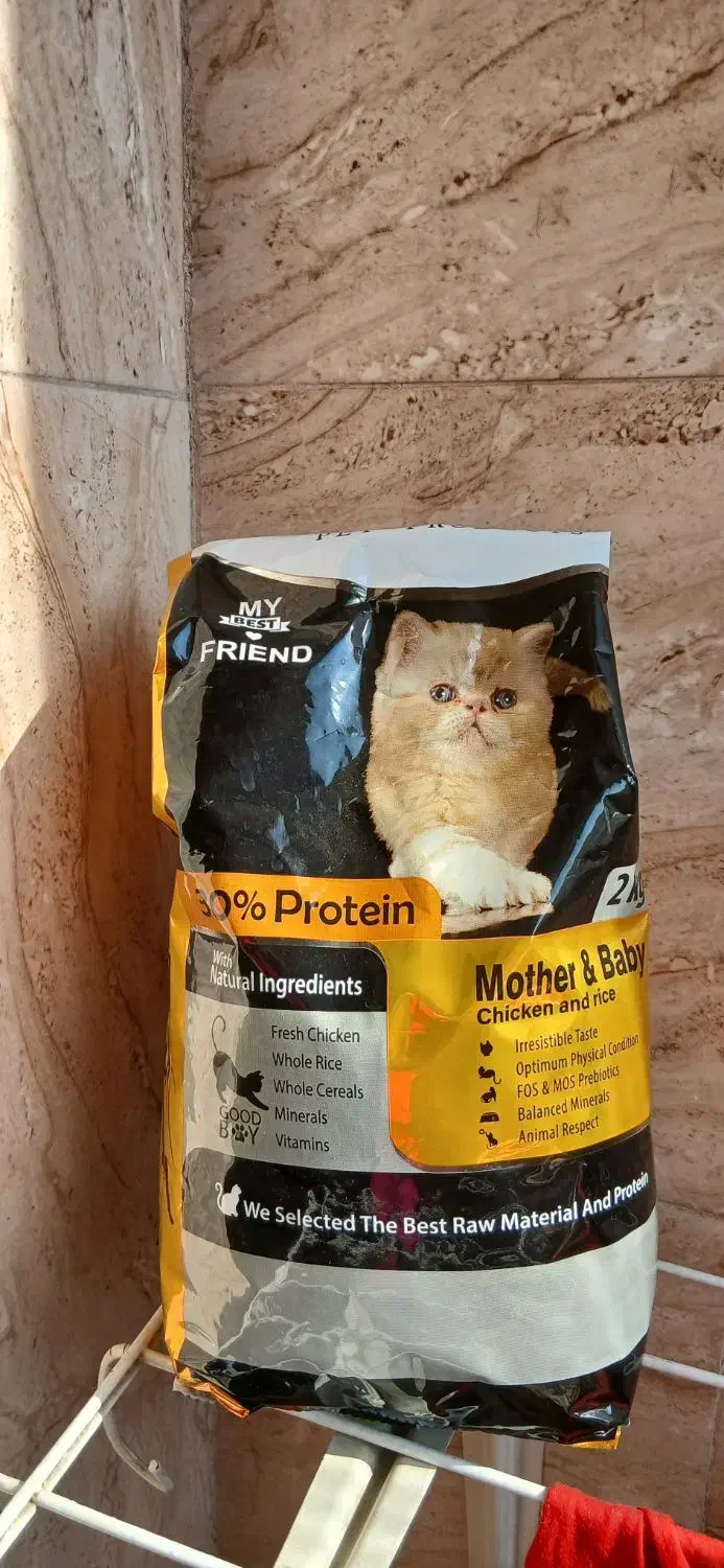 غذای گربه و خاک گربه وخود گربه|گربه|اراک, |دیوار