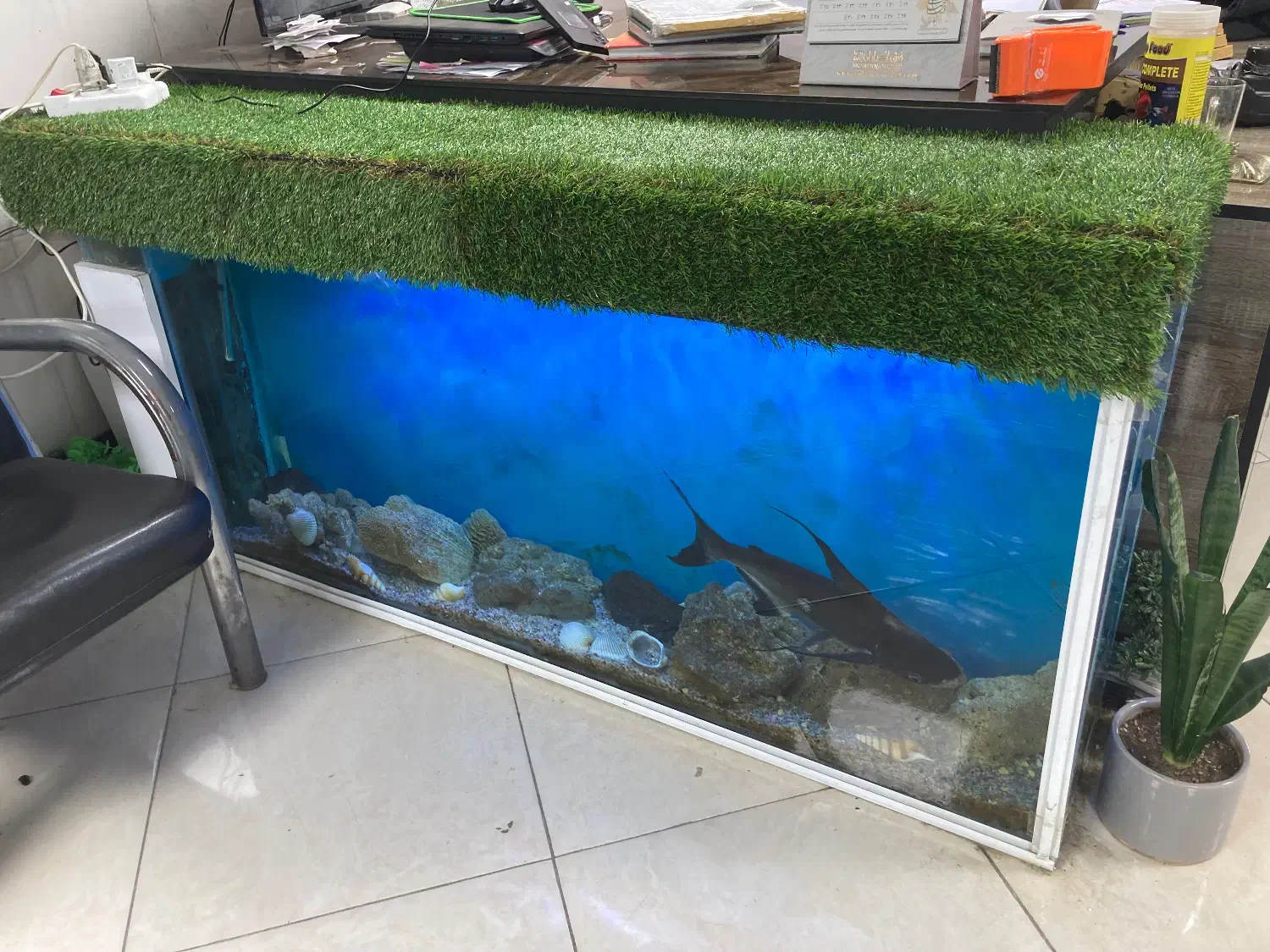 اکواریوم با تجهزیزات کامل|ماهی|اردبیل, |دیوار