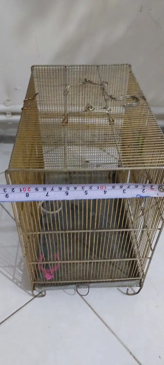 قفس سهره|لوازم جانبی حیوانات|تهران, سازمان آب|دیوار