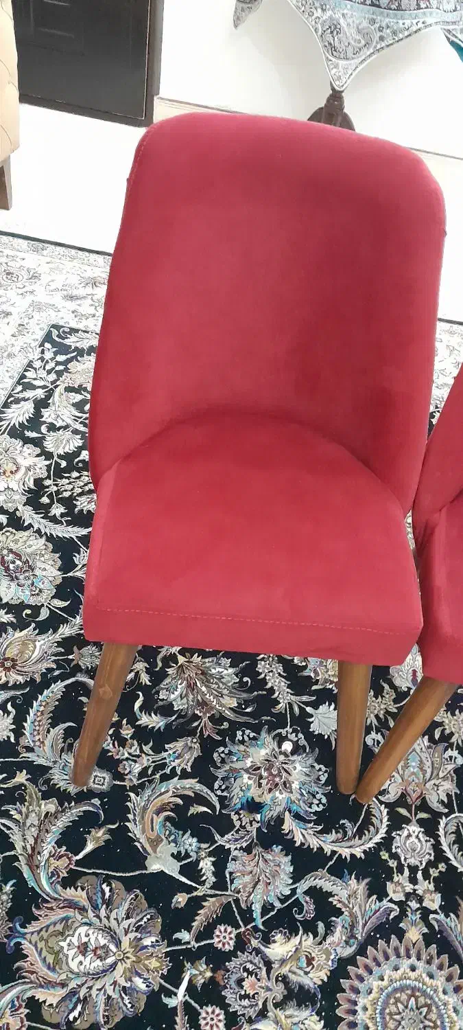 صندلی چستر|صندلی و نیمکت|اردبیل, |دیوار