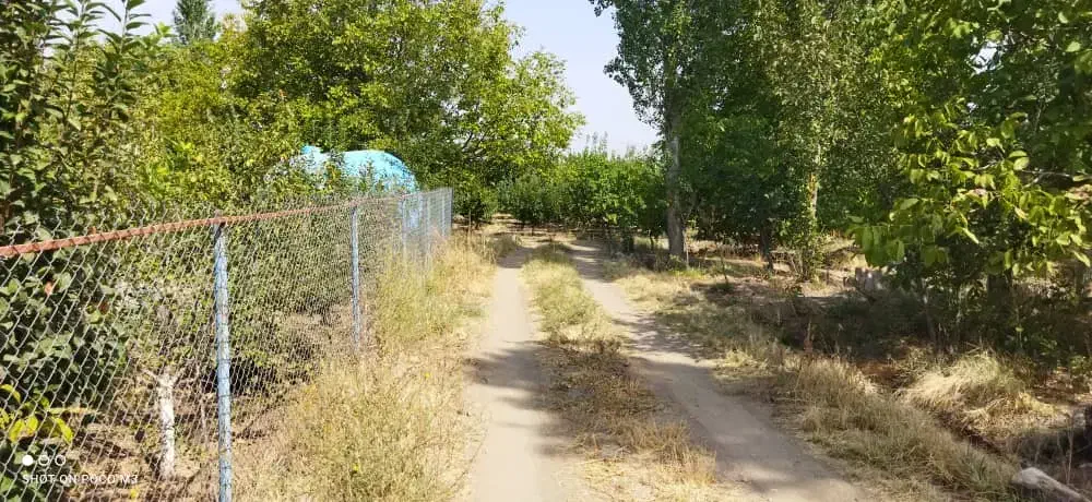 باغ در سه راهی یامچی به متراژ ۱۱۷۰۰|فروش زمین و ملک کلنگی|یامچی, |دیوار