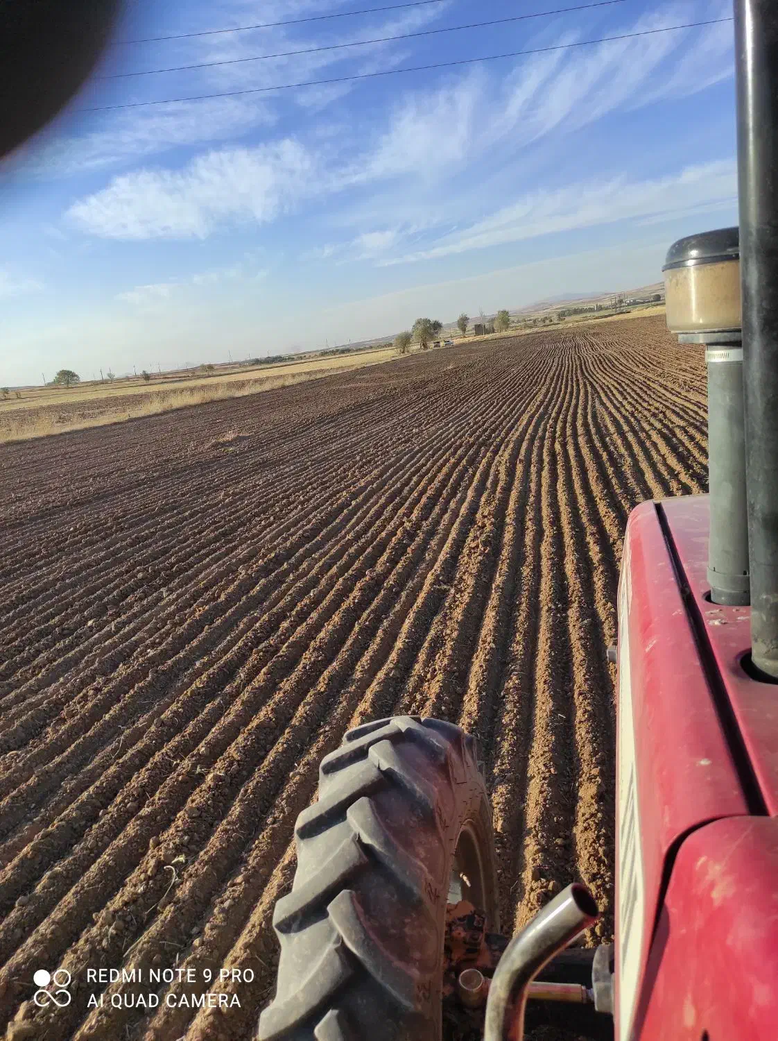 خدمات کشاورزی کار با تراکتور شخم چیزل کاشت گندم|خدمات باغبانی و درختکاری|شازند, |دیوار