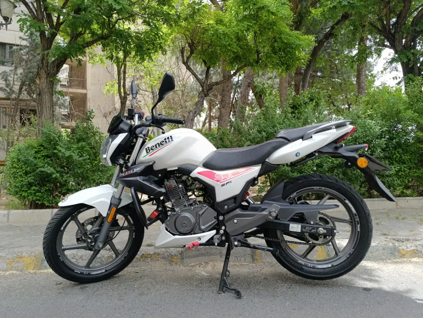 بنلی ۱۵۰ 1403|موتورسیکلت|تهران, سازمان برنامه جنوبی|دیوار