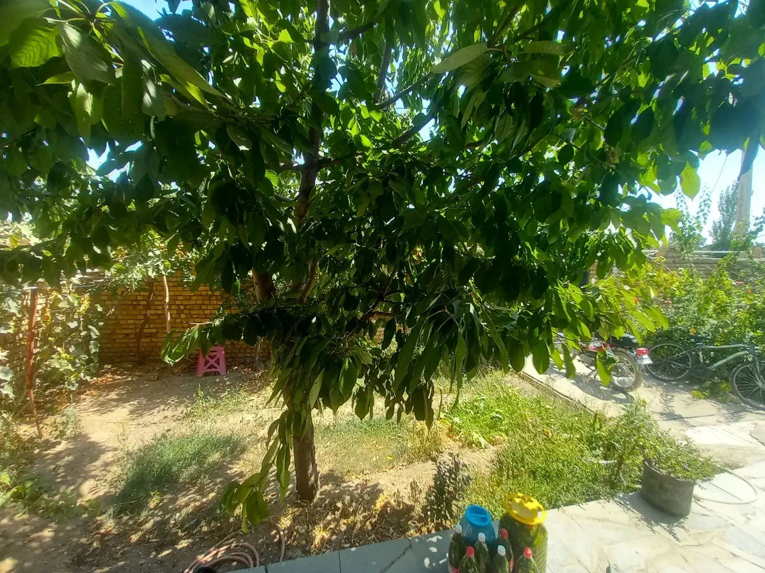 فروش یک واحد خانه ویلایی در روستای پیرسقا|فروش خانه و ویلا|صائین قلعه, |دیوار